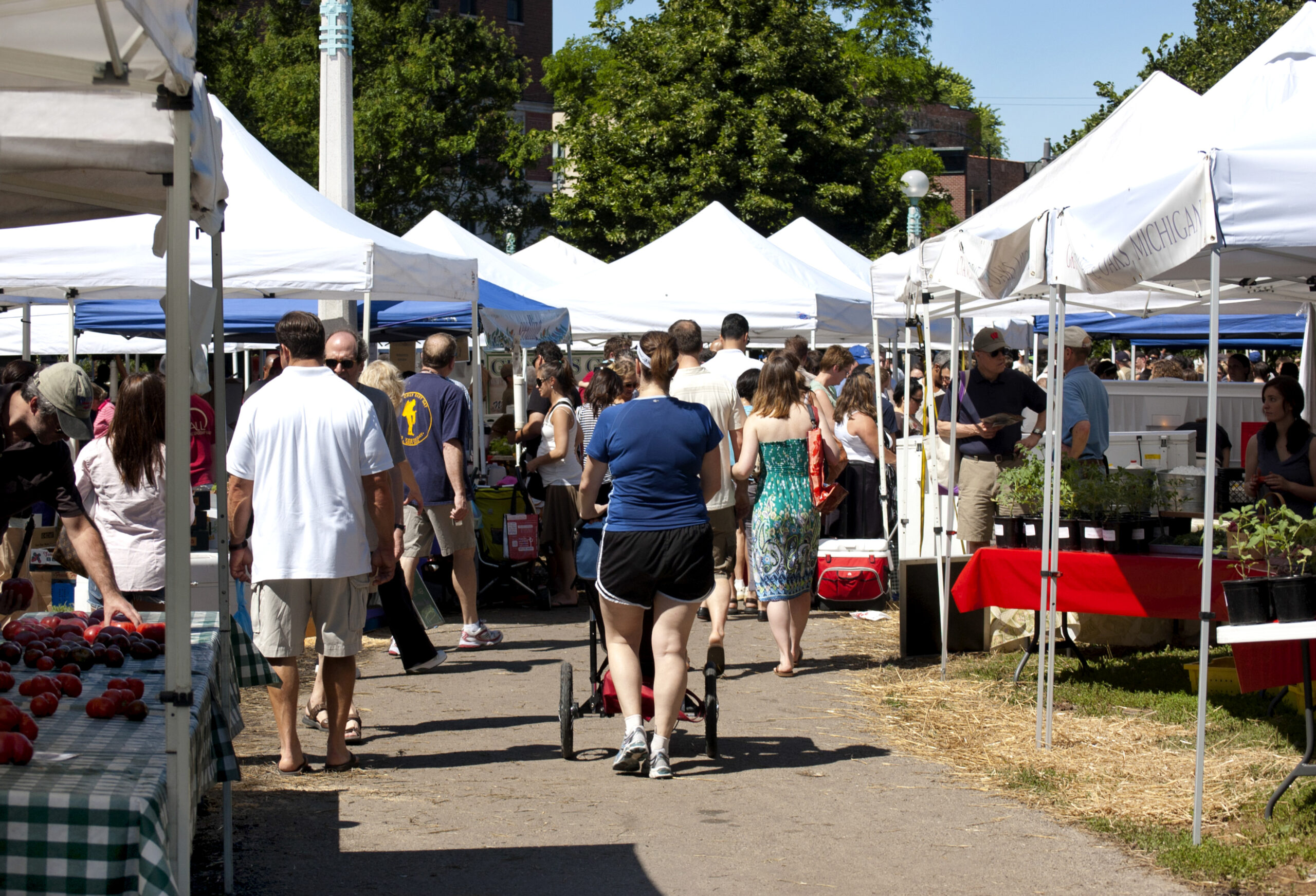 The Lincoln Park Farmers Market in Chicago, bustling with shoppers exploring fresh produce, local vendors, and artisanal goods under white and blue tents. This family-friendly event highlights the vibrant community atmosphere and farm-to-table lifestyle in the heart of Lincoln Park.