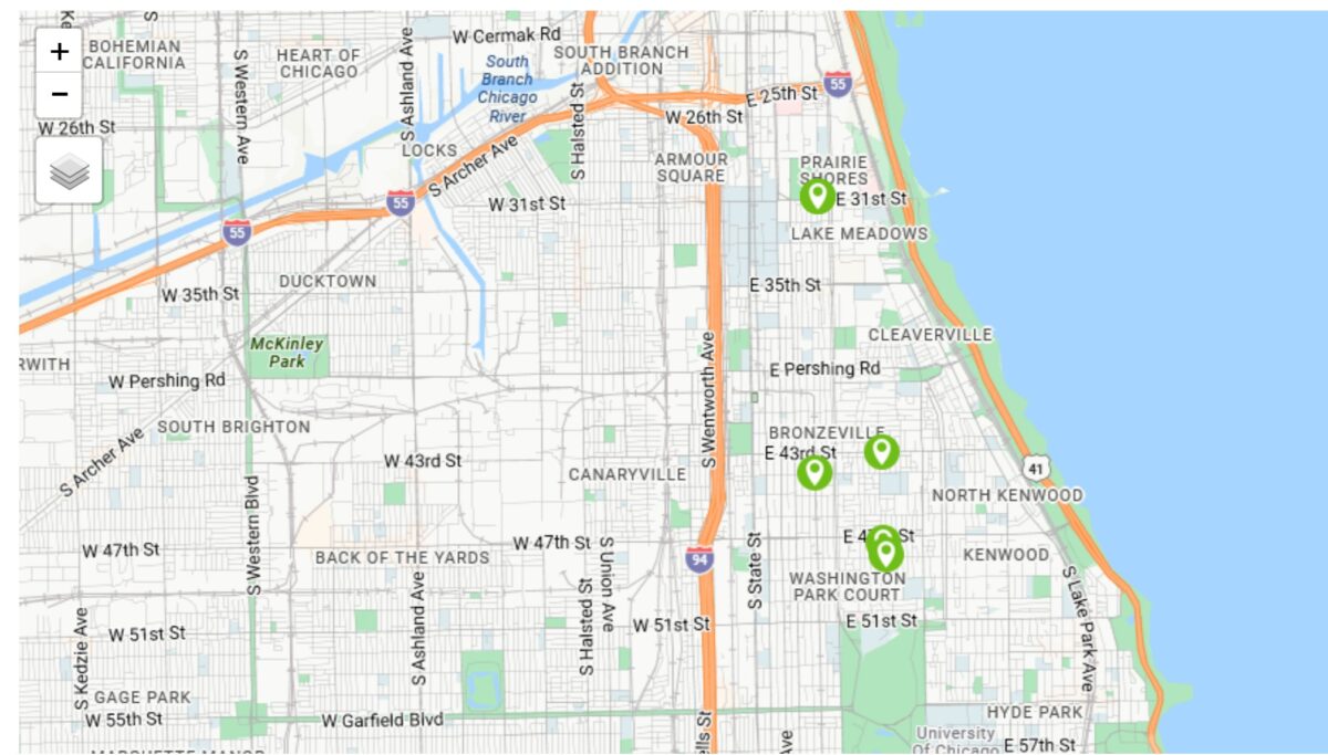 Bronzeville Chicago Condos for Sale